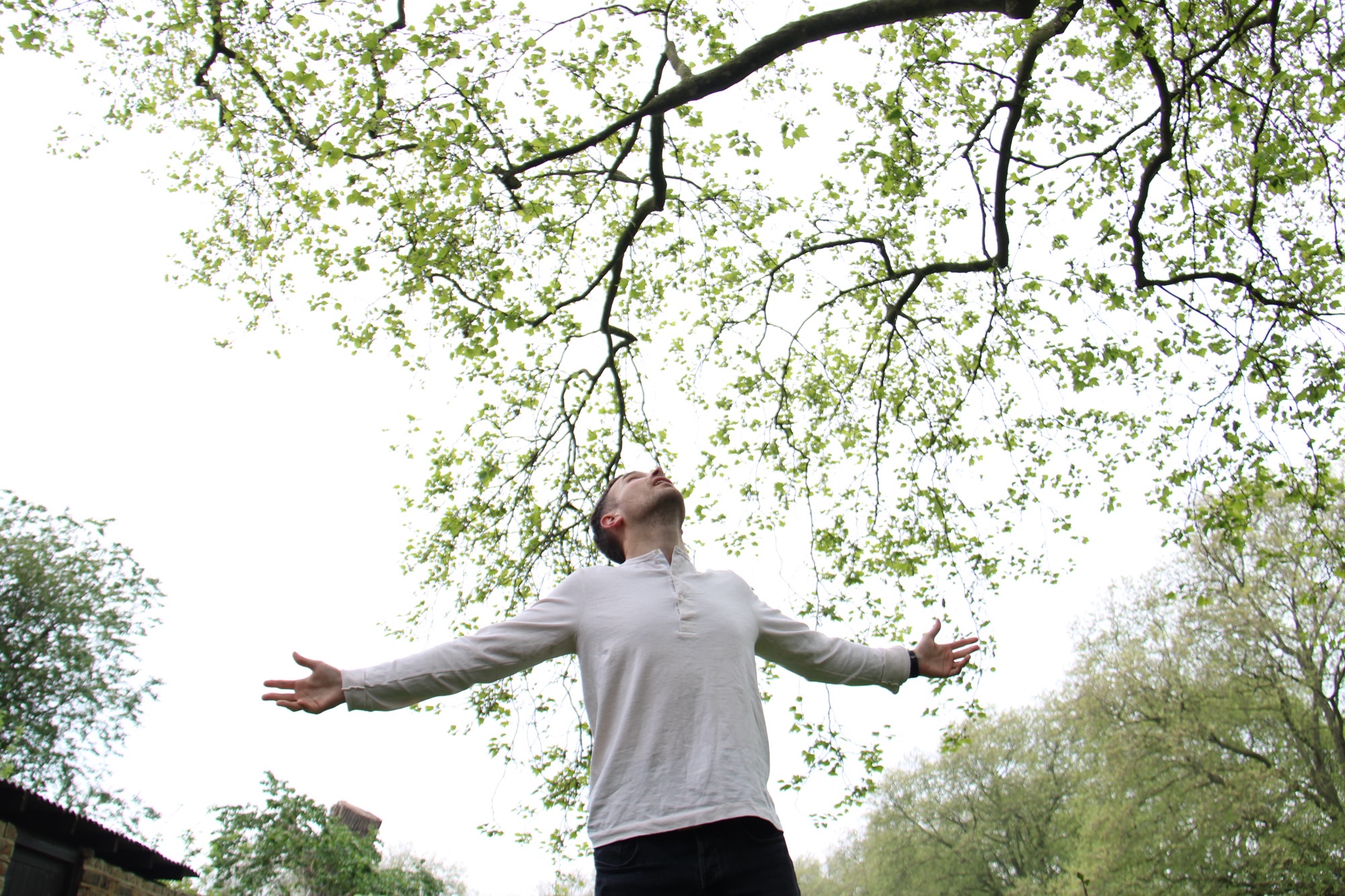 Man in a white long sleeve top with arms outstretched looking at the leaves on the tree above